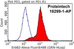 HER2/ErbB2 Antibody in Flow Cytometry (Flow)