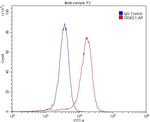 Cytokeratin 10 Antibody in Flow Cytometry (Flow)