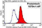 CD206 Antibody in Flow Cytometry (Flow)