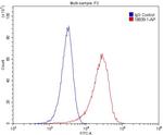 SORCS1 Antibody in Flow Cytometry (Flow)