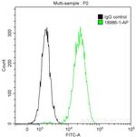 EGFR Antibody in Flow Cytometry (Flow)