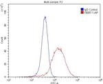 LINGO1 Antibody in Flow Cytometry (Flow)