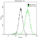 CDK6 Antibody in Flow Cytometry (Flow)