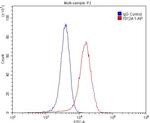 TRPA1 Antibody in Flow Cytometry (Flow)