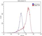 EDG7 Antibody in Flow Cytometry (Flow)