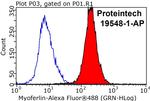 Myoferlin Antibody in Flow Cytometry (Flow)