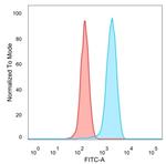 EIF2S1/EIF-2 alpha (EIF2A) Antibody in Flow Cytometry (Flow)