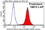 MYH10 Antibody in Flow Cytometry (Flow)