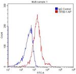 LRP2 Antibody in Flow Cytometry (Flow)