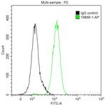 PCM1 Antibody in Flow Cytometry (Flow)