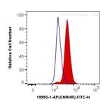 GNRHR Antibody in Flow Cytometry (Flow)