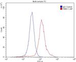 GPR22 Antibody in Flow Cytometry (Flow)