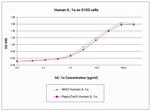 Human IL-1 alpha Protein in Functional Assay (FN)