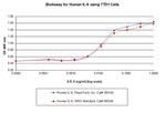 Human IL-6 Protein in Functional Assay (FN)