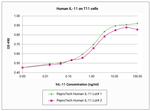 Human IL-11 Protein in Functional Assay (FN)