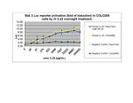 Human IL-22 Protein in Functional Assay (Functional)