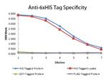 6X His Epitope Tag Antibody in ELISA (ELISA)