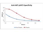 Phospho-AKT (Ser473) Antibody in ELISA (ELISA)