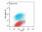 AKT1 Antibody in Flow Cytometry (Flow)