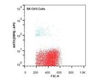 AKT3 Antibody in Flow Cytometry (Flow)