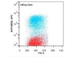 AKT1 Antibody in Flow Cytometry (Flow)