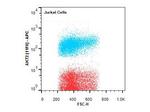 AKT2 Antibody in Flow Cytometry (Flow)