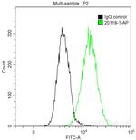 SOX2 Antibody in Flow Cytometry (Flow)