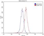 UNC5A Antibody in Flow Cytometry (Flow)