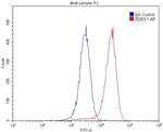 IGF2R Antibody in Flow Cytometry (Flow)