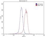 APJ Antibody in Flow Cytometry (Flow)