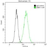 MARCKS Antibody in Flow Cytometry (Flow)