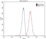 SHH Antibody in Flow Cytometry (Flow)