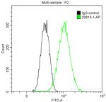 KDM1 Antibody in Flow Cytometry (Flow)