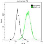 Caldesmon Antibody in Flow Cytometry (Flow)