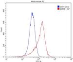 E-selectin /CD62E Antibody in Flow Cytometry (Flow)