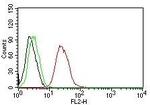 ER-beta-1 (Estrogen Receptor beta-1) Antibody in Flow Cytometry (Flow)