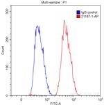 BCL6 Antibody in Flow Cytometry (Flow)