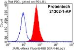 JAML Antibody in Flow Cytometry (Flow)