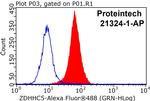 ZDHHC5 Antibody in Flow Cytometry (Flow)