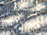 PLP2 Antibody in Immunohistochemistry (Paraffin) (IHC (P))