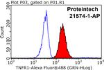 TNFR1 Antibody in Flow Cytometry (Flow)