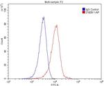 IL1RAPL1 Antibody in Flow Cytometry (Flow)