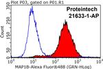 MAP1B Antibody in Flow Cytometry (Flow)