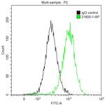 EZH2 Antibody in Flow Cytometry (Flow)