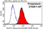 GLUT1 Antibody in Flow Cytometry (Flow)