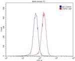 EPHA4 Antibody in Flow Cytometry (Flow)