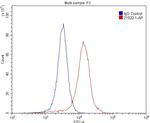 GRIN2B Antibody in Flow Cytometry (Flow)