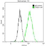 ACC1 Antibody in Flow Cytometry (Flow)