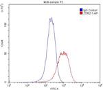 Integrin alpha-3 Antibody in Flow Cytometry (Flow)