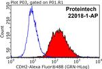 N-cadherin Antibody in Flow Cytometry (Flow)